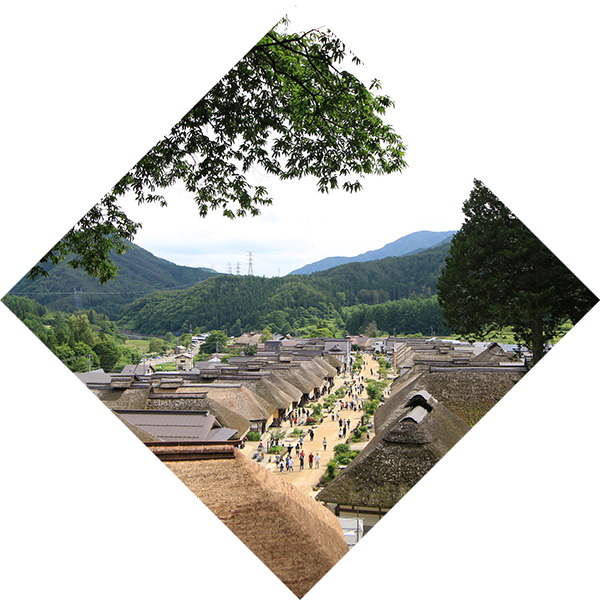 自然と歴史を愉しむ